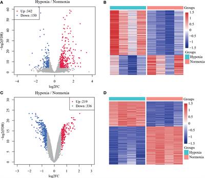 Identification of a Hypoxia-Related Molecular Classification and Hypoxic Tumor Microenvironment Signature for Predicting the Prognosis of Patients with Triple-Negative Breast Cancer